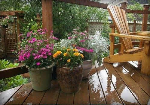 Alaska's Capital Inn Bed&Breakfast Juneau Bagian luar foto